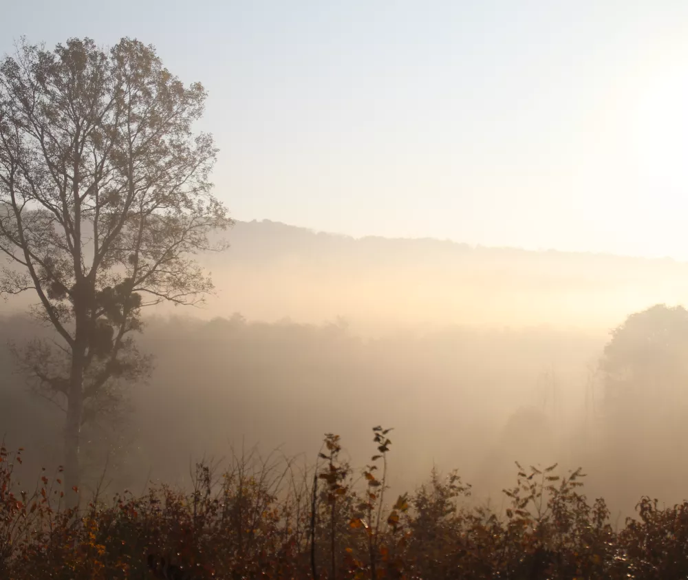 Üdvözöljük weboldalunkon